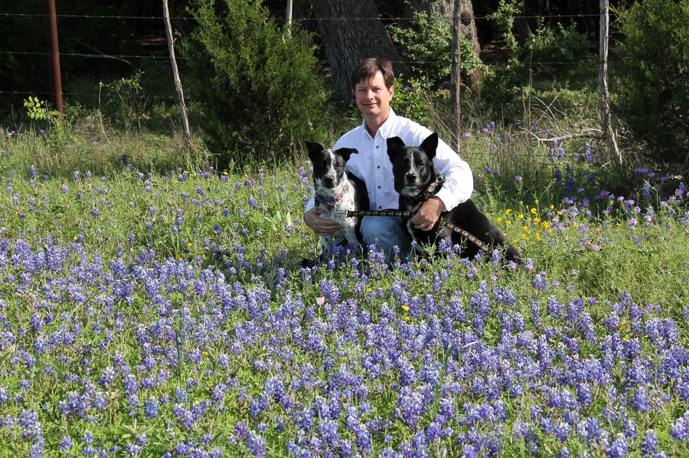 Furnace Repair & Installation in Round Rock, Texas at Bluebonnet HVAC